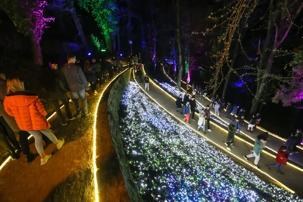 Záhřeb Chorvatsko Března 2018 Lidé Chodí Osvětleném Parku Jako Květiny — Stock fotografie