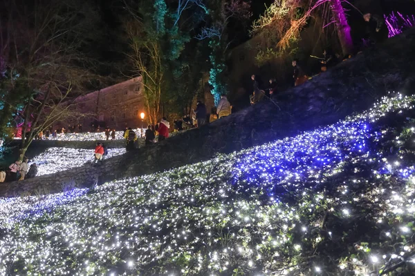 Záhřeb Chorvatsko Března 2018 Lidé Chodí Osvětleném Parku Jako Květiny — Stock fotografie
