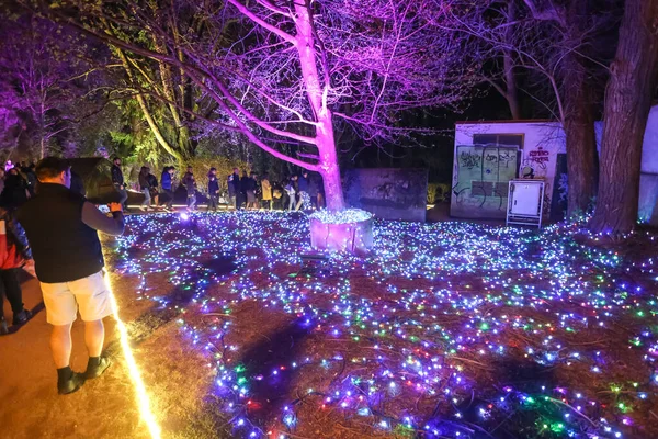 Záhřeb Chorvatsko Března 2018 Lidé Chodí Osvětleném Parku Jako Květiny — Stock fotografie