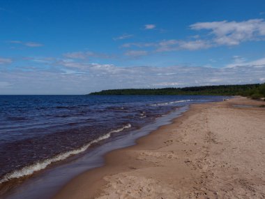 Plaj, gökyüzü, orman