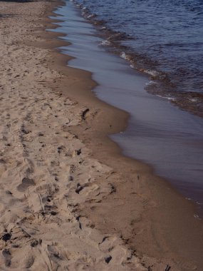 Plaj, gökyüzü, orman