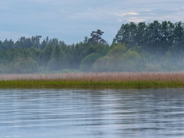 Dawn River Bank Foggy Morning — Stock Photo, Image