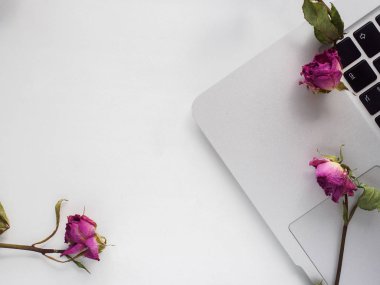 Flatley. Bir dizüstü bilgisayar ve gül üst fotoğrafı