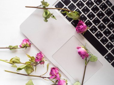 Flatley. Bir dizüstü bilgisayar ve gül üst fotoğrafı