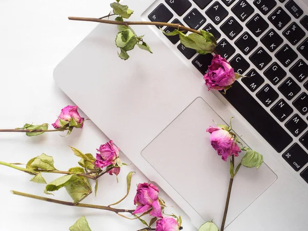 Flatley. Bir dizüstü bilgisayar ve gül üst fotoğrafı