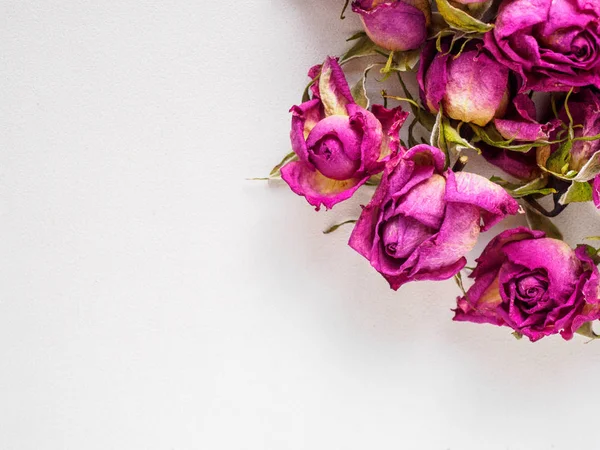 Kurutulmuş gül beyaz bir arka plan üzerinde fotoğraf. Flatley
