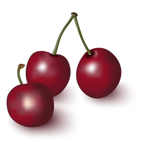 Cerises Isolées Sur Fond Blanc Illustration Vectorielle — Image vectorielle