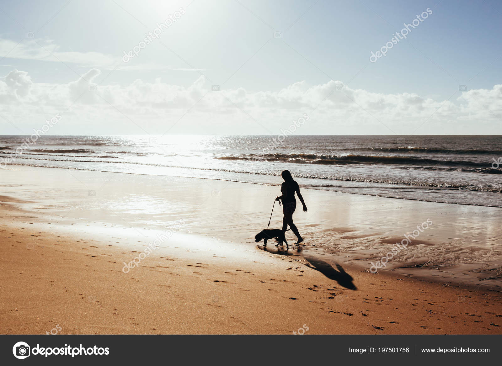 https://st4.depositphotos.com/1485837/19750/i/1600/depositphotos_197501756-stock-photo-woman-walking-dog-beach-sunrise.jpg