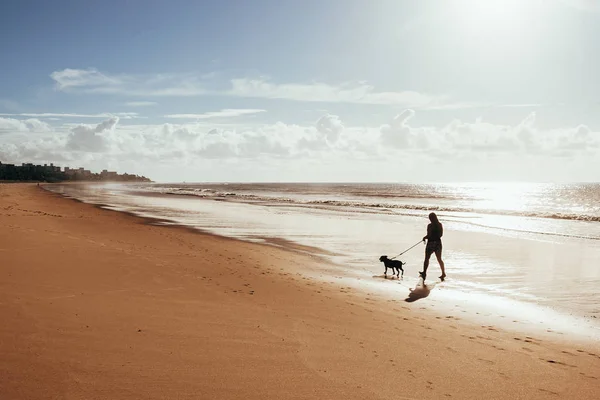 Kobieta Spaceru Psem Plażę Wschodzie Słońca — Zdjęcie stockowe