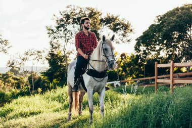 Genç adam sürme beyaz atının kırsal