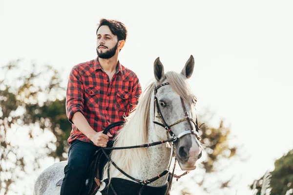 Ung Man Rider Vithäst Landsbygden — Stockfoto