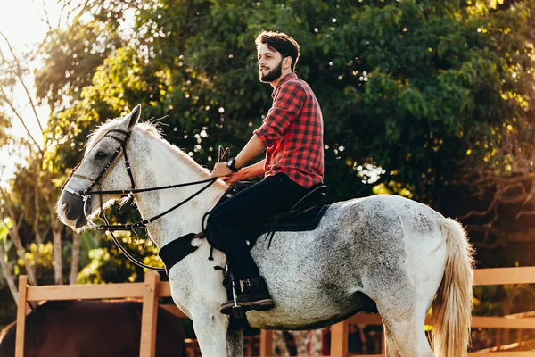 Young man riding white horse on the countryside