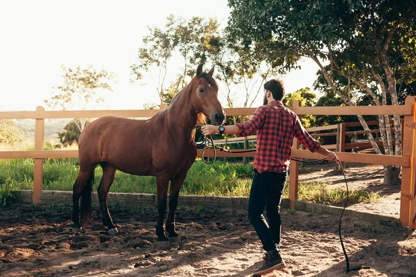Mann Trainiert Sein Pferd Stall — Stockfoto