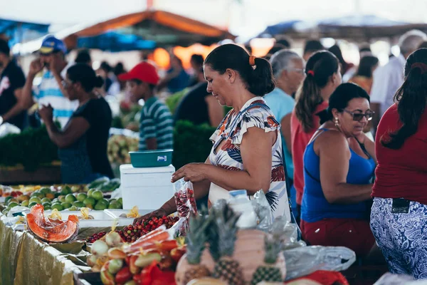Sao Jose do Egito, Pernambuco, Brezilya - 29 Eylül 2018 - yerel çiftçilere piyasa Brezilya adlı kadın satın