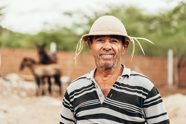 Portrait of Brazilian Northeastern cowboy wearing his typical le — Stock Photo, Image