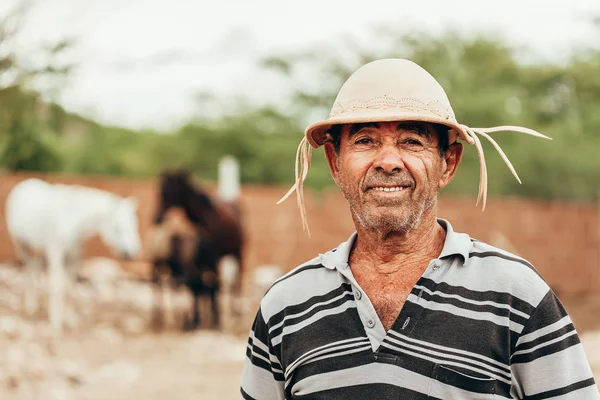 Portret van Braziliaanse noordoosten cowboy dragen zijn typische le — Stockfoto