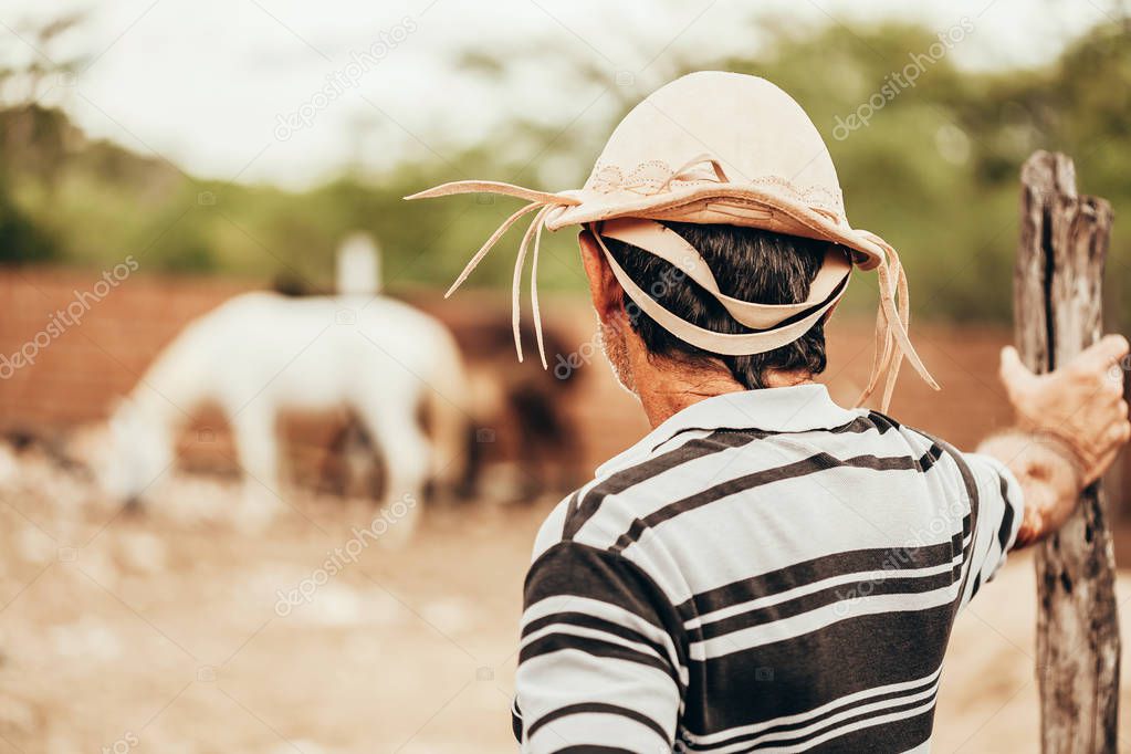 Portrait of Brazilian Northeastern cowboy wearing his typical le