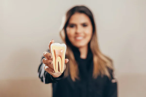 รูปภาพของหมอฟันหญิง แสดงแบบจําลองฟัน — ภาพถ่ายสต็อก