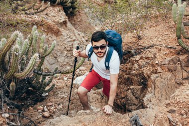 Brezilya 'nın Caatinga olarak bilinen yarı kurak bir bölgesinde yürüyüş yapan genç bir sırt çantalı.