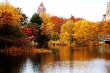 Central Park, New York'ta sonbaharda ağaçlar ve göl