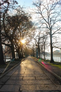 Allee de Cygnes, Paris, Fransa