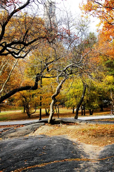 Central Park, New York City'deki sonbahar — Stok fotoğraf