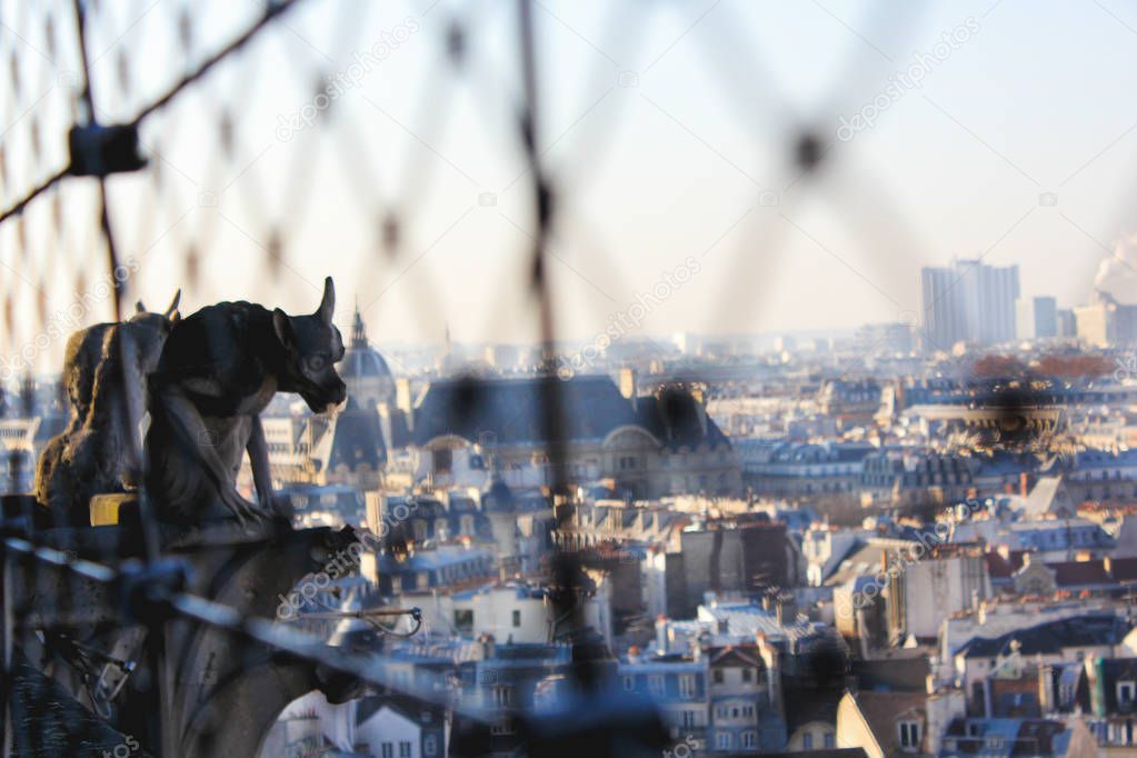 View from the towers of the Notre Dame Cathedral in Paris, Franc