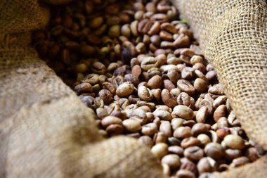 Rafine edilmemiş kahve çekirdekleri Jüt çuval içinde