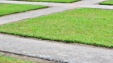 Yeşil çimen, eski beton yollar criss cross