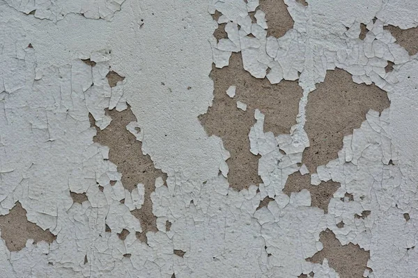 Peeling White Grey Paint Concrete Surface Background Theme Apartment Repairs — Stock Photo, Image