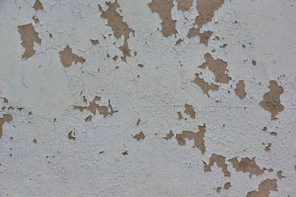 Peeling White Grey Paint Concrete Surface Background Theme Apartment Repairs — Stock Photo, Image