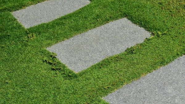 コンクリート板の背景を持つ人工の緑の草の散歩道 公園内美化 — ストック写真