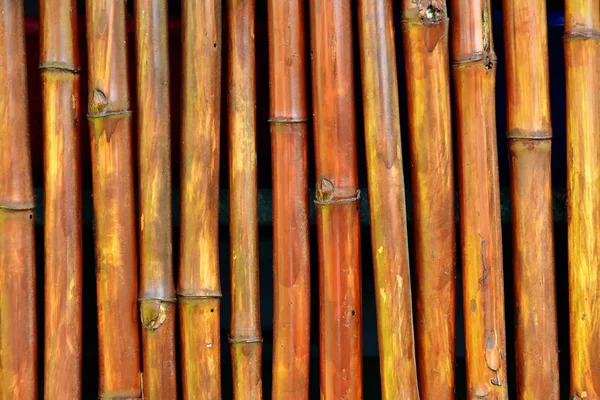 Festett Bambusz Lakkozott Háttér Kerítés — Stock Fotó