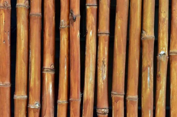 Recinzione Bambù Verniciato Sfondo Laccato — Foto Stock