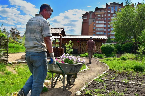 クラスノヤルスク ロシア 2018 日焼けした庭師は庭で植わることのための手押し車の上に花を運ぶ 色あせた古い服のドジャー 実際の生活 上演ではないシーン — ストック写真