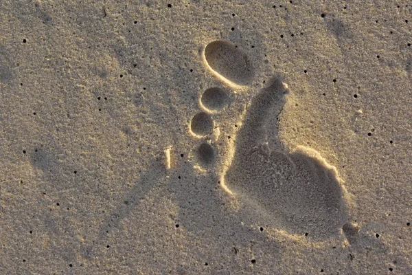 A trace from the goblin\'s foot on the sand