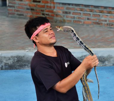 Vietnam. Nha Trang. 05-Temmuz-2018 - gösterisi yılan ile eğlenceli. Adam ve zehirli yılan.