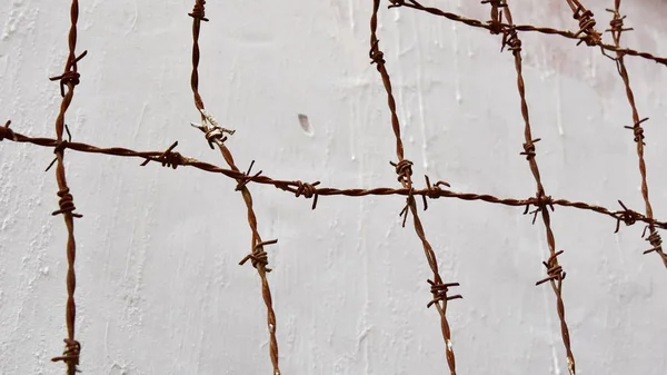 Barbed wire against concrete  dirty wall, grunge illustration
