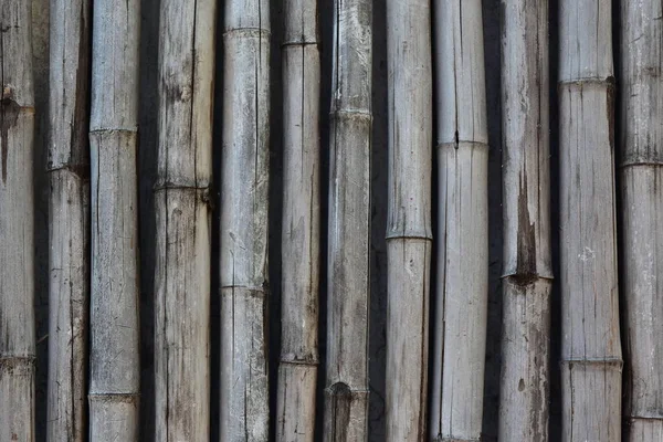 Recinzione Sfondo Laccato Bambù Stagionato Secco — Foto Stock