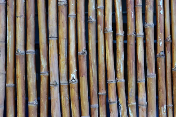 Recinzione Bambù Verniciato Sfondo Laccato — Foto Stock