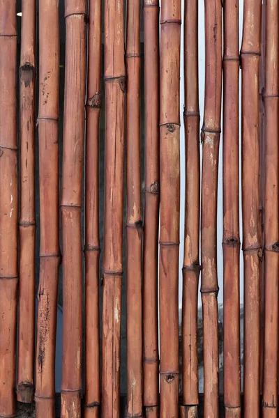 Recinzione Bambù Verniciato Sfondo Laccato — Foto Stock