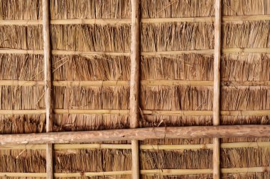 Palmiye yaprakları yapılmış çatı yüzeyinin güzel doku. Özgün tasarım arka plan