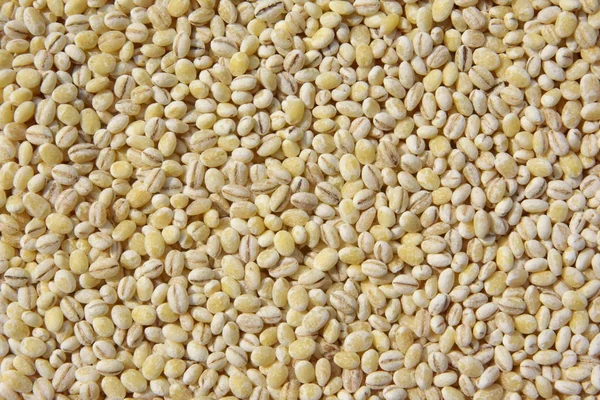 Pearl Barley Closeup Heap Pearl Barley Grains Vegetarian Food — Stock Photo, Image