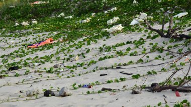 Deniz hayatını etkileyen deniz çöpe / çevre sorunu kavramı / dünya çevre günü