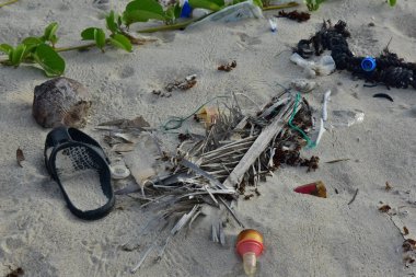 Deniz hayatını etkileyen deniz çöpe / çevre sorunu kavramı / dünya çevre günü