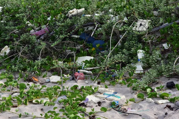 Deniz hayatını etkileyen deniz çöpe / çevre sorunu kavramı / dünya çevre günü