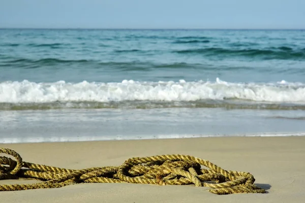 Rope from a slave ship on a wet sand background ocean design beach fishing village. Garbage thrown ashore by waves. Vietnam