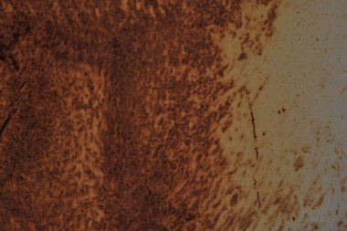 Paslı çelik yüzey. Vintage doku