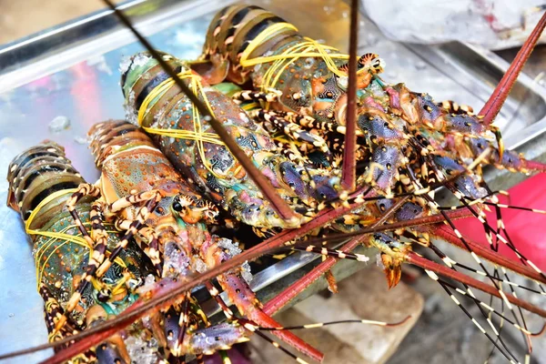 Grandes Langostas Colores Pesca Captura Del Pescador —  Fotos de Stock