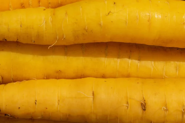A solid background of yellow carrots. organic texture